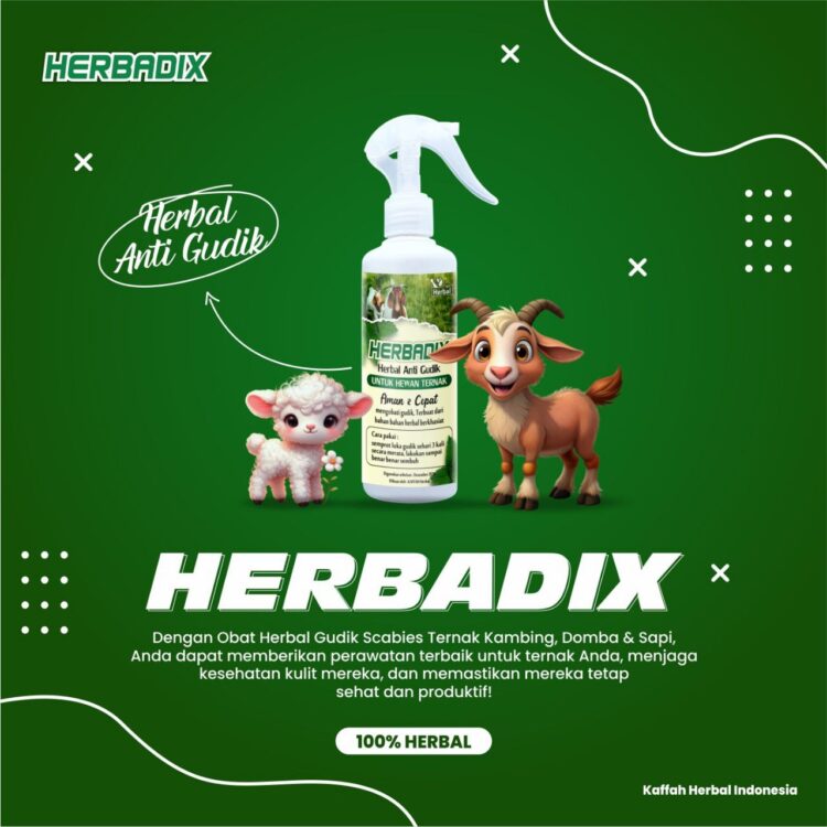 Herbadix Herbal Anti Gudik Domba