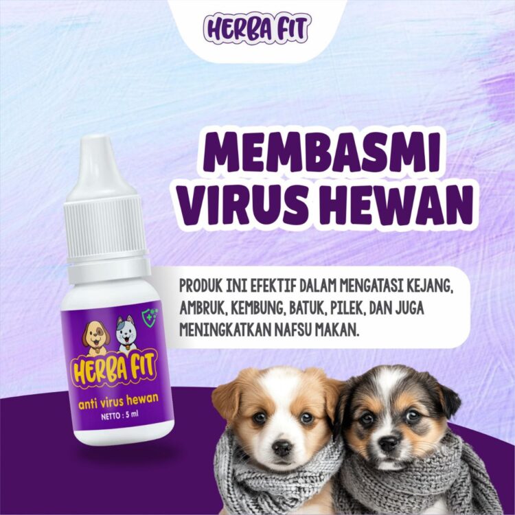 herba fit anti virus anjing