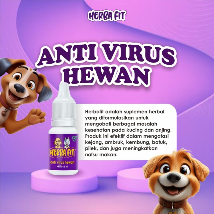 herba fit anti virus kucing