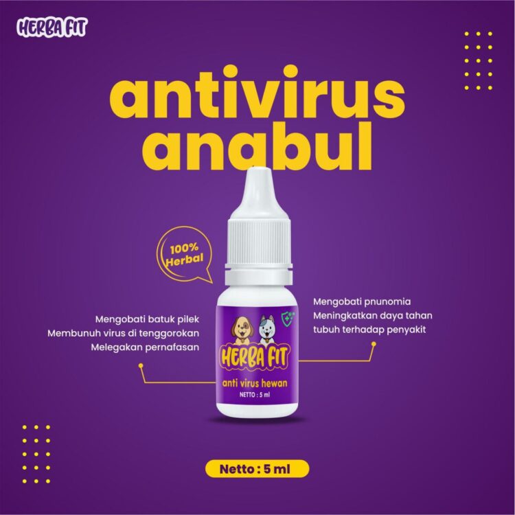 jual herba fit anabul