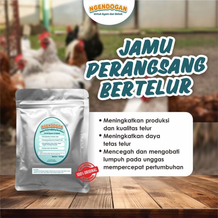 ngendogan jamu perangsang bertelur