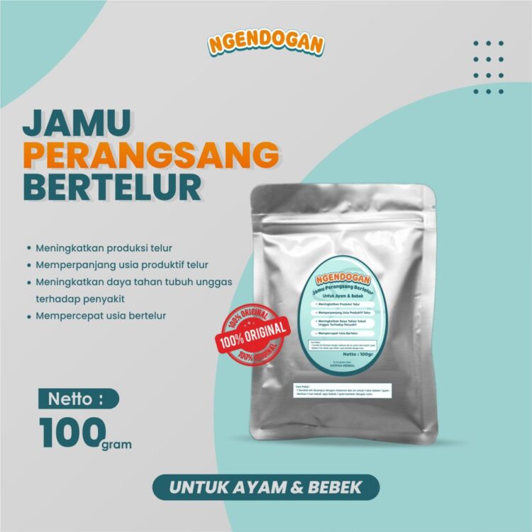 jamu perangsang telur ayam