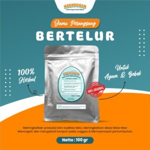 ngendogan jamu perangsang bertelur