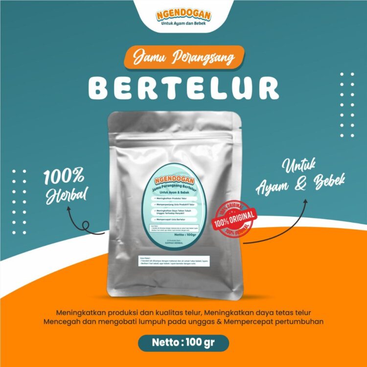 ngendogan jamu perangsang bertelur