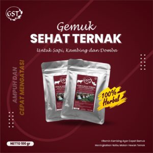 jamu gemuk ternak