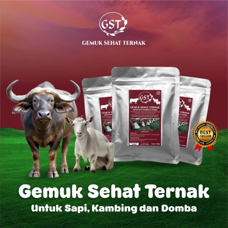 Gst Gemuk Sehat Ternak